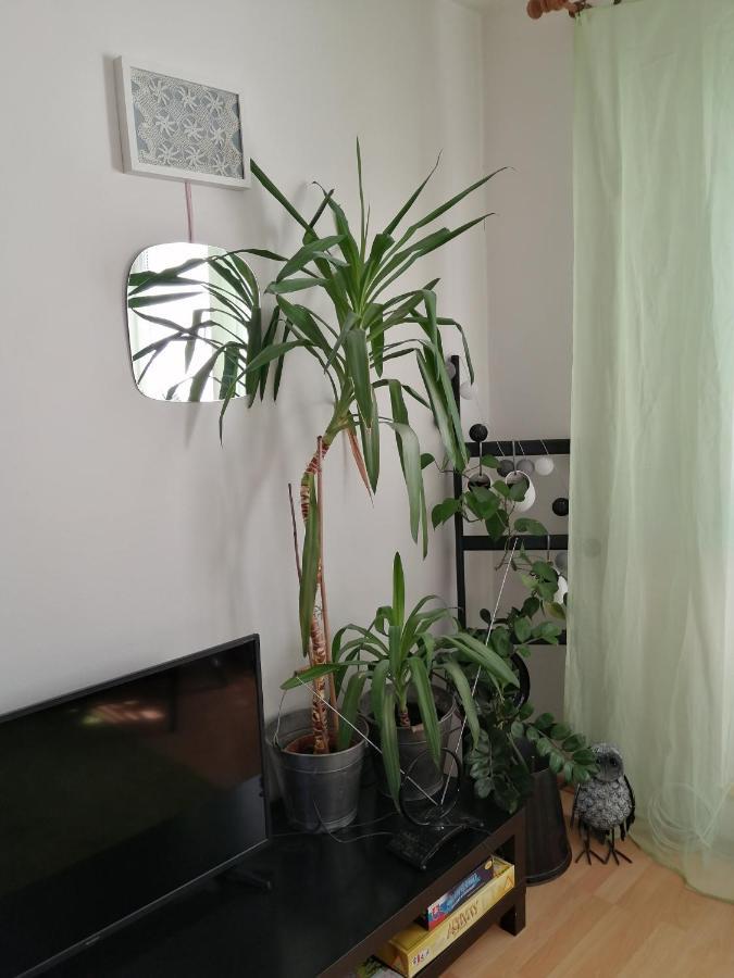 Emma Apartment Nova Lesna Exterior photo