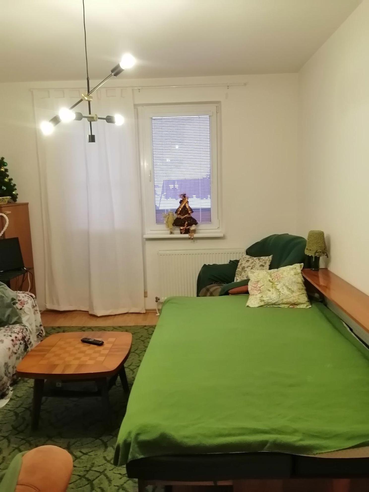 Emma Apartment Nova Lesna Exterior photo