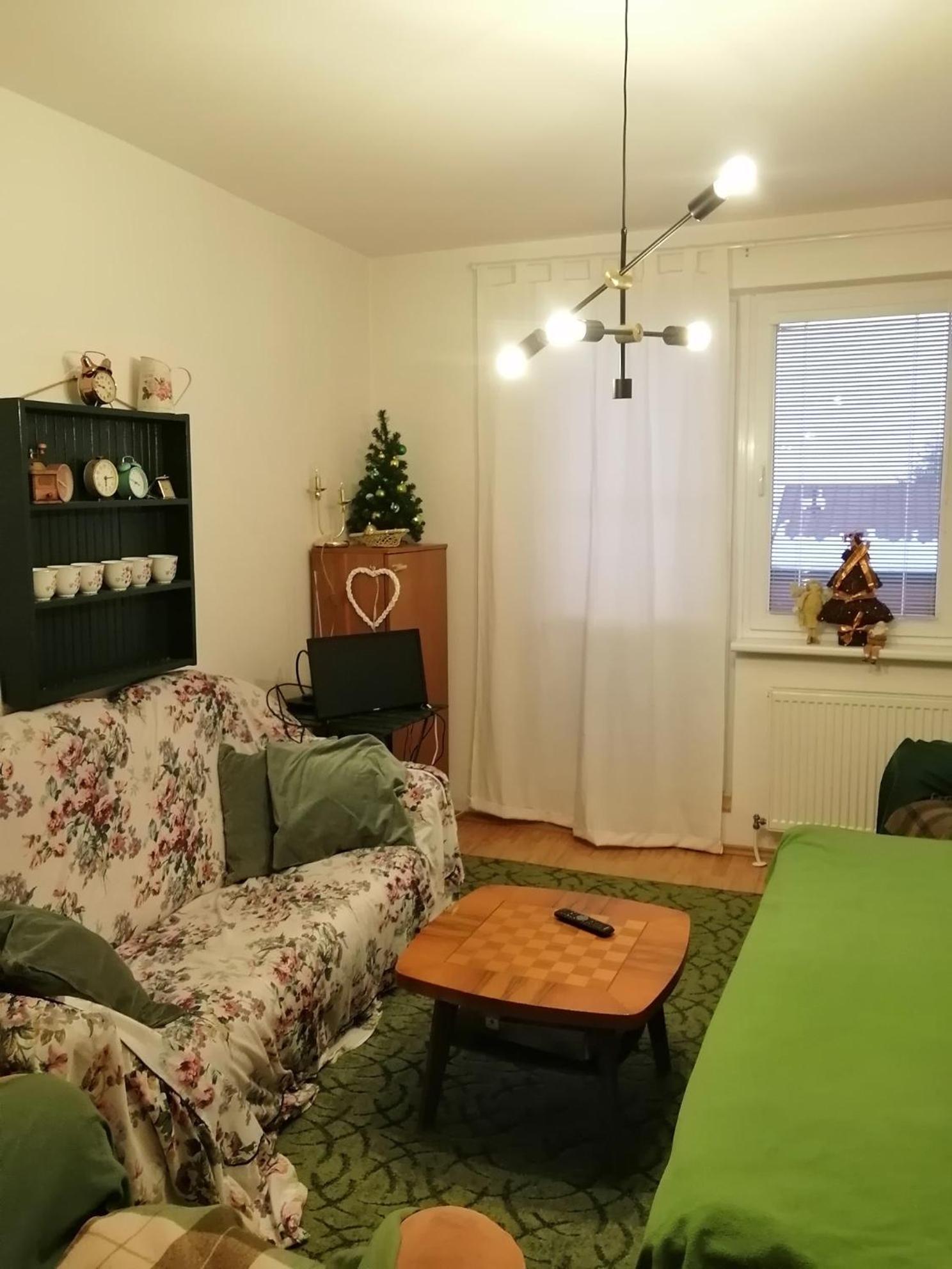 Emma Apartment Nova Lesna Exterior photo